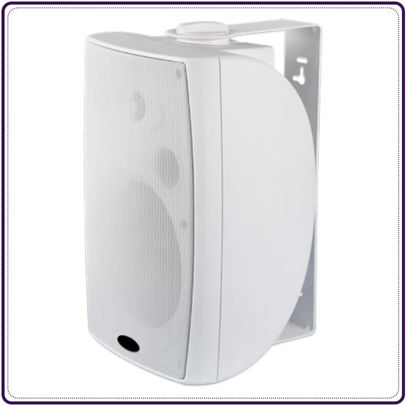 壁挂音箱（带定阻、定压选择）WSK-420HW